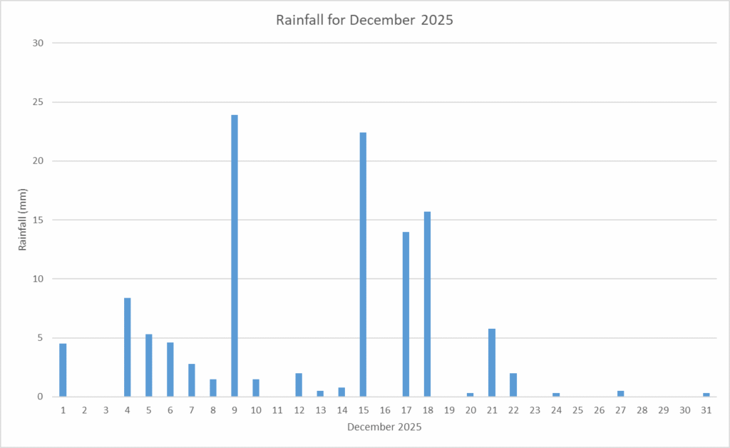Rainfall December 2025