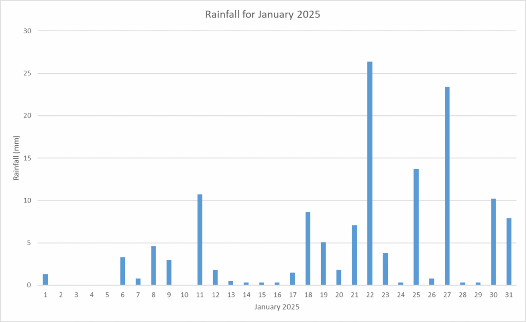Rainfall Jamuary 2026