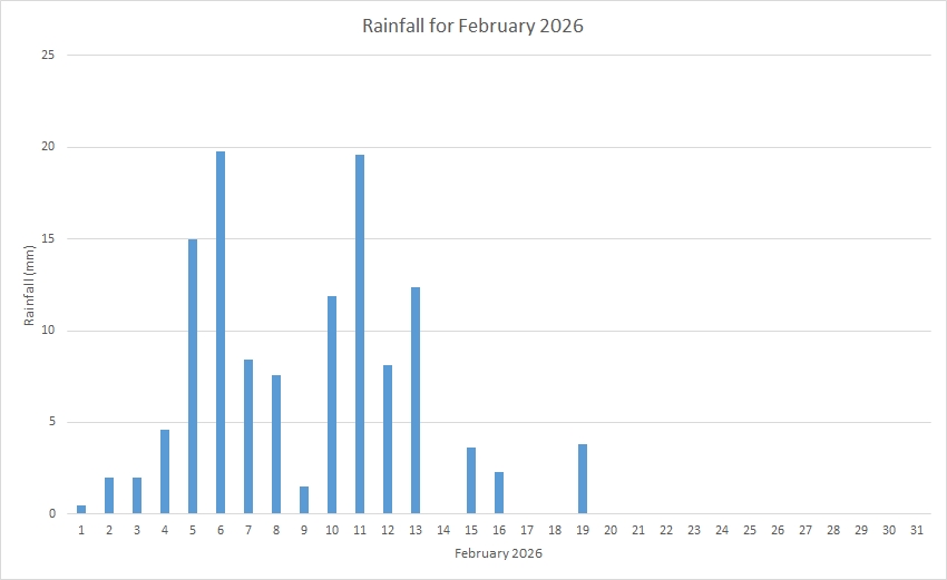 Rainfall February 2026