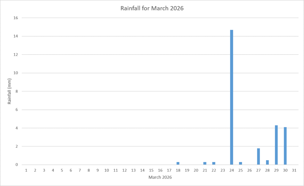Rainfall March 2026